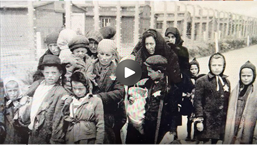 Learn more about the Auschwitz Timeline Project