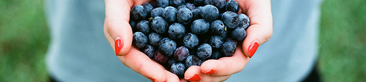 Header image of a person holding fresh blueberries.